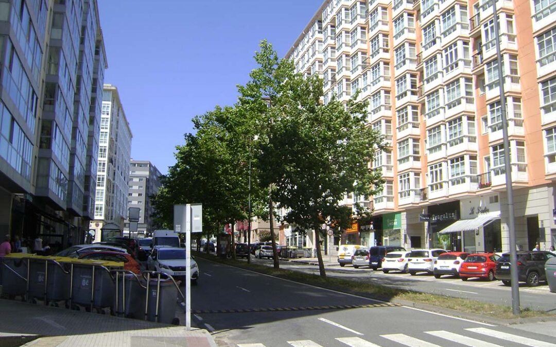 Novo Mesoiro